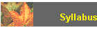 Syllabus