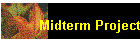 Midterm Project