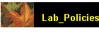 Lab_Policies