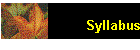 Syllabus